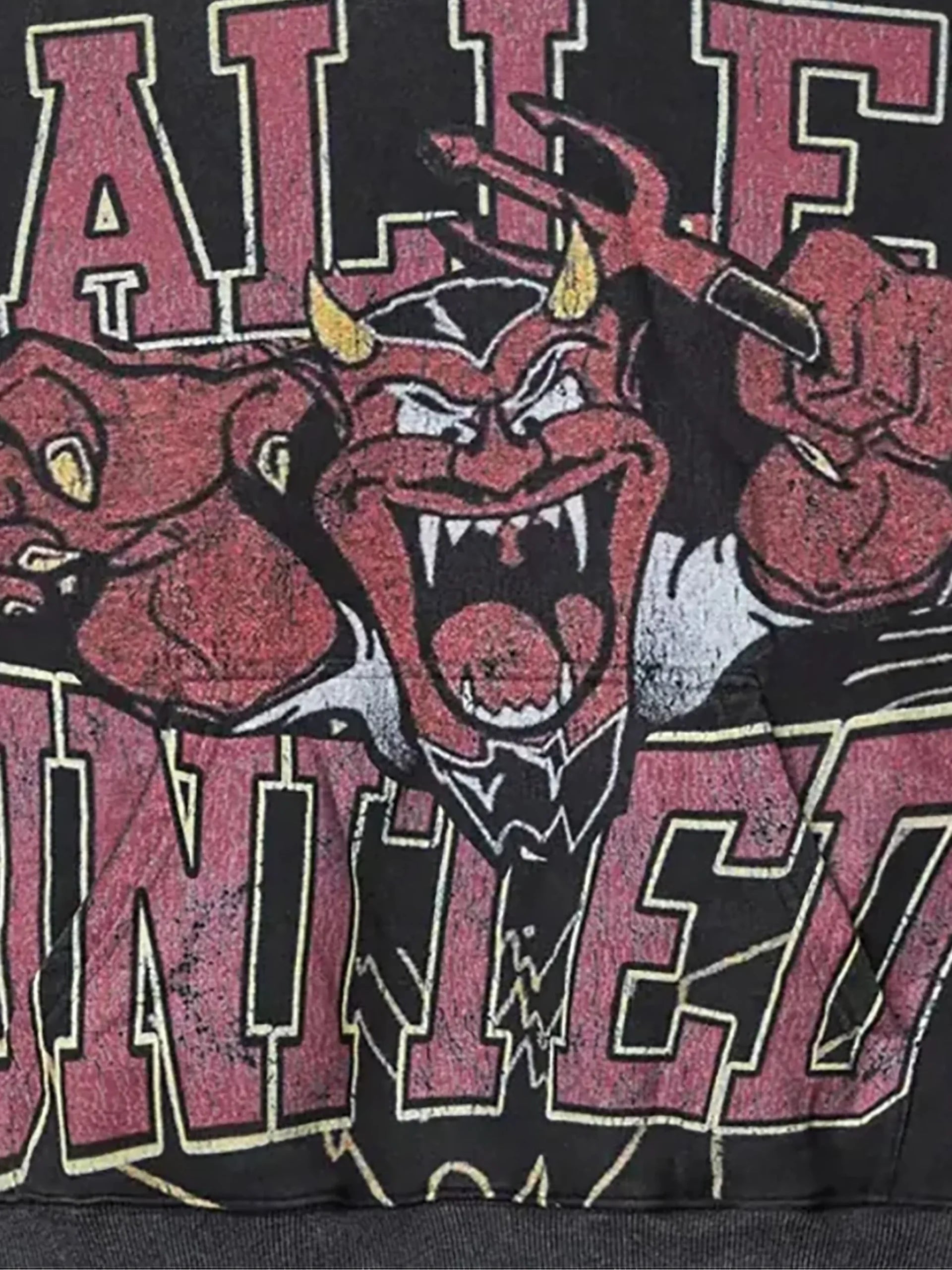 Vale Forever Valley Mascot Hoodie Black/Red Edition