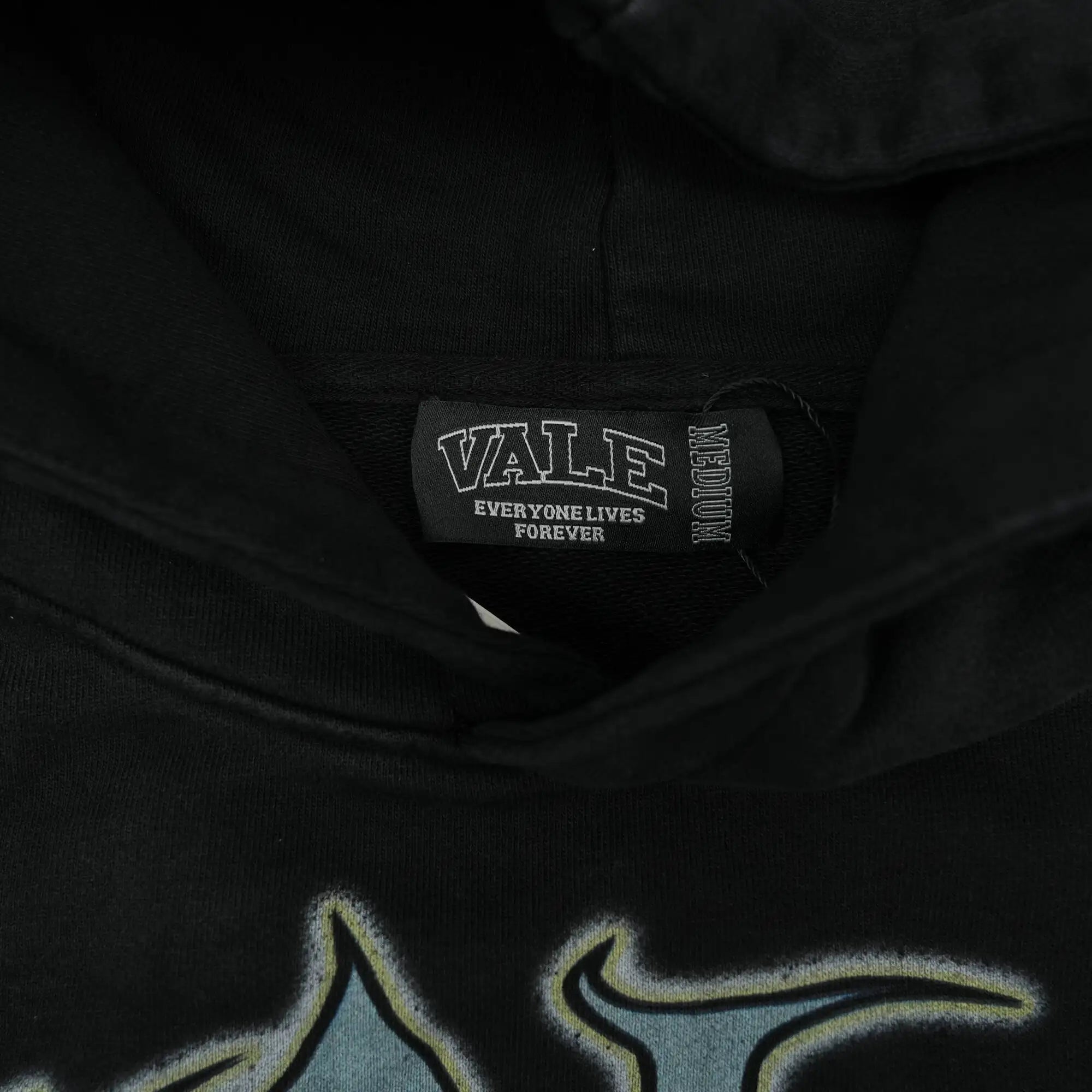Vale Shadow Graphic Hoodie – Black