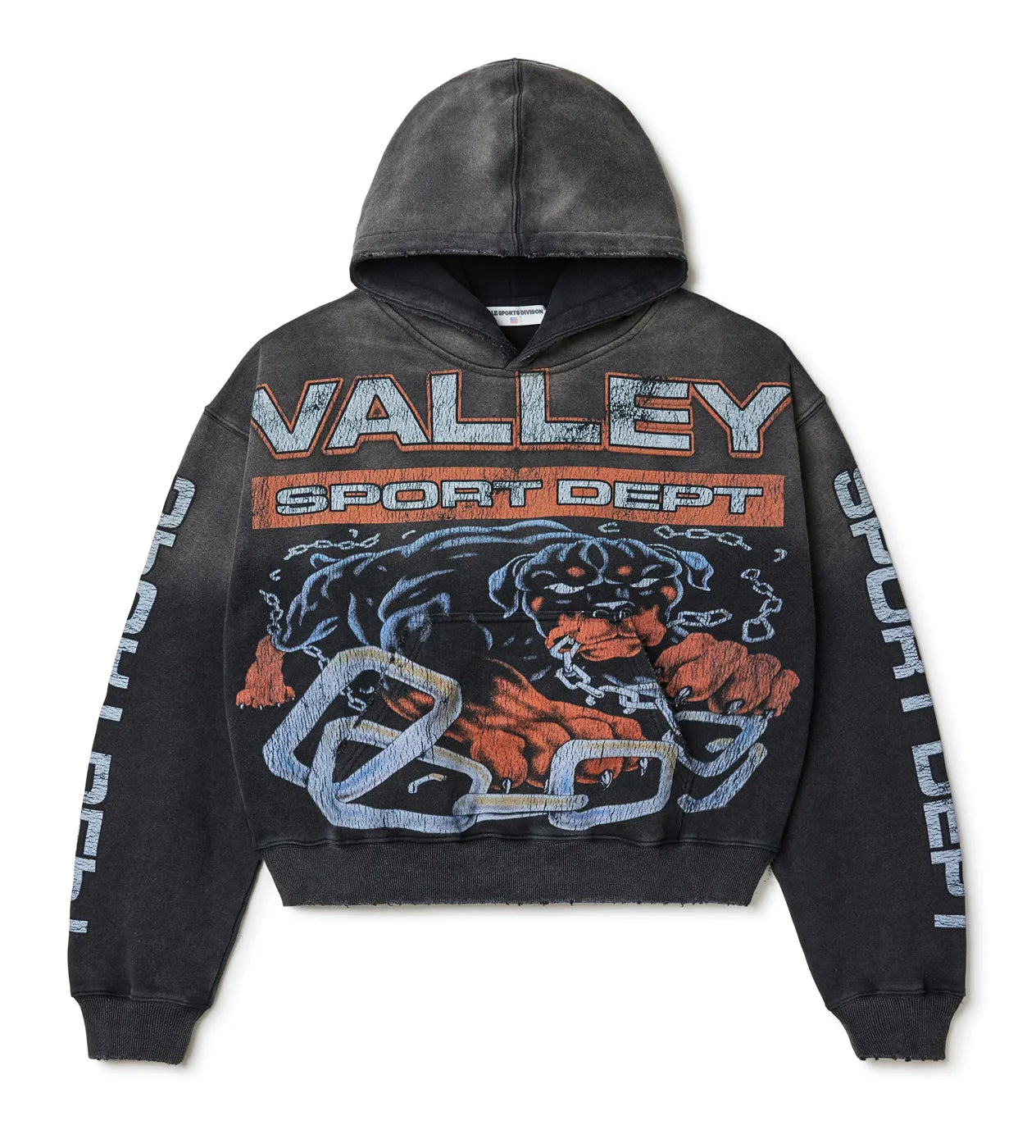Sport Dept Big Dog Hoodie Vintage Black Main image