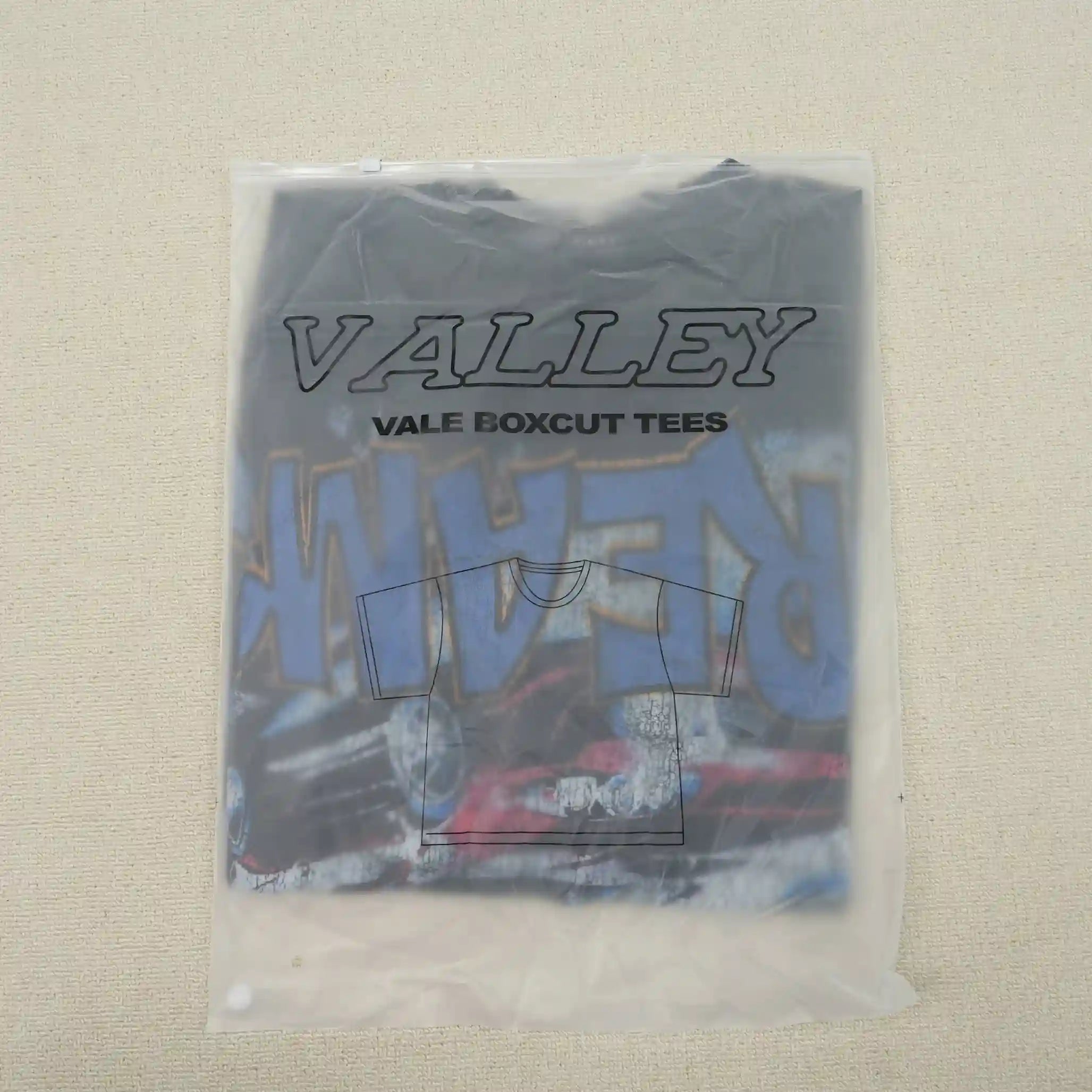 Valley Dreams Tee Vintage Black