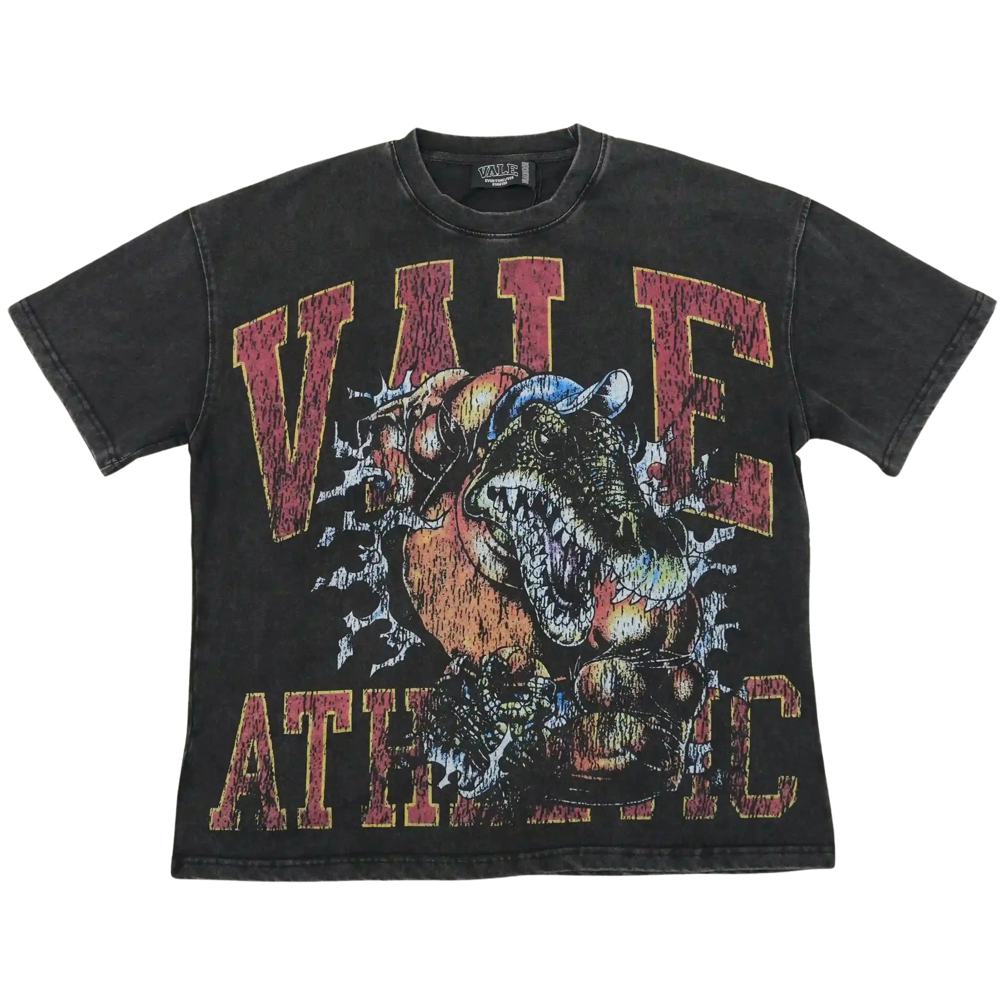 Athletic Dinosaur Tee Vintage Black Main image